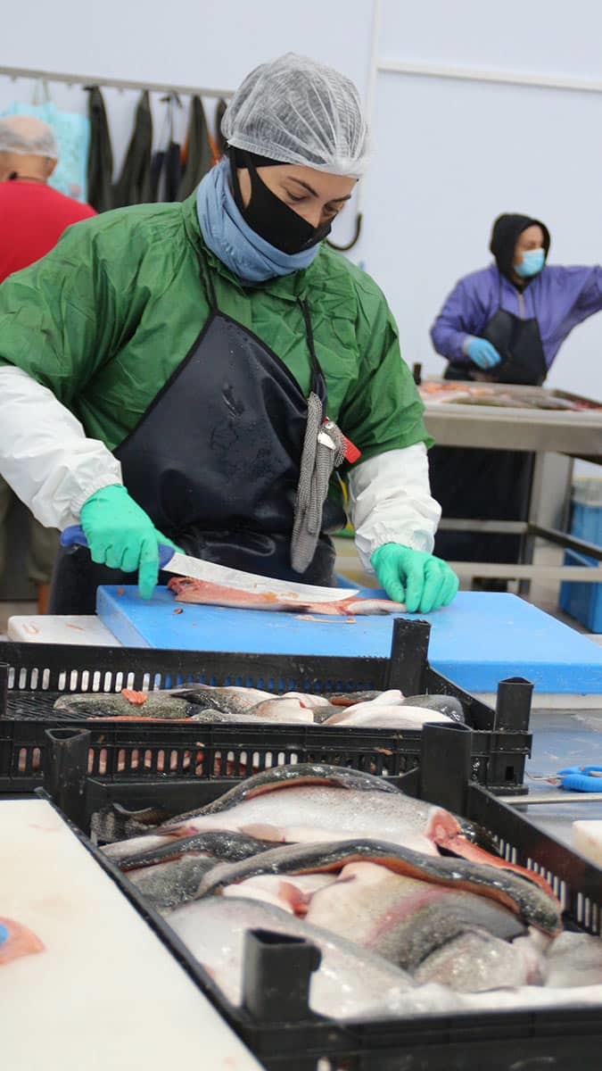 Rizeli girişimci Hasan Kuzuoğlu, kurduğu çiftliklerinde Karadeniz somonu üretiyor.