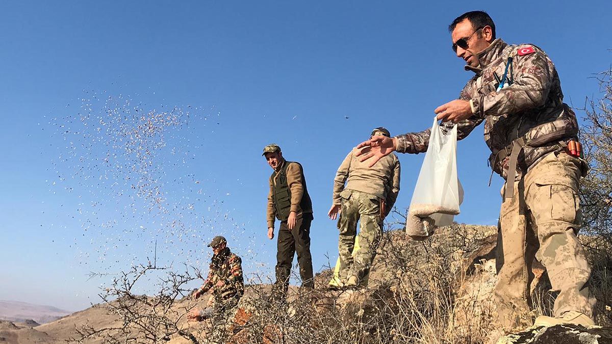 Avcılar yaban hayvanları için doğaya yem bıraktı