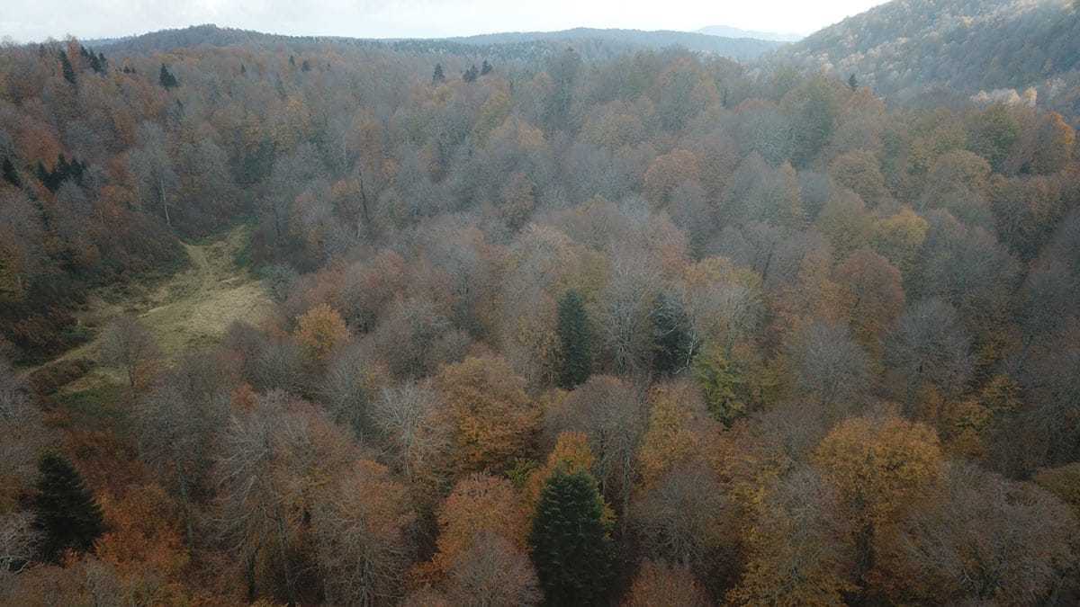 Kartepe'de görsel şölen yaşanıyor