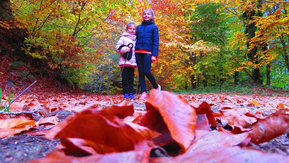 Kaz Dağları rengarenk bir tabloya dönüştü