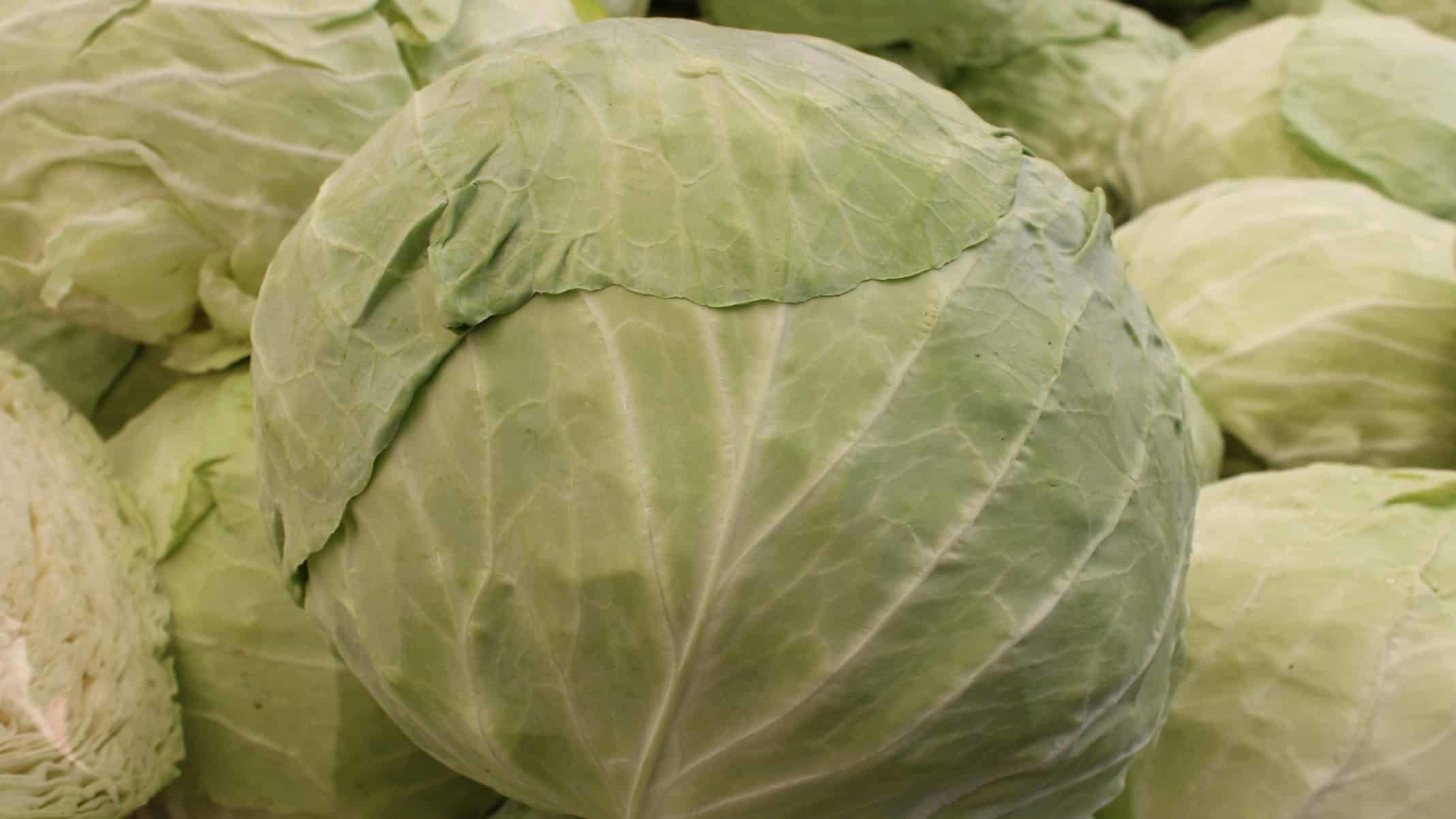 Yeşil yapraklı sebzelerde bulunan demir, magnezyum, çinko ve kalsiyum gebe kalma sürecine olumlu etkiler.