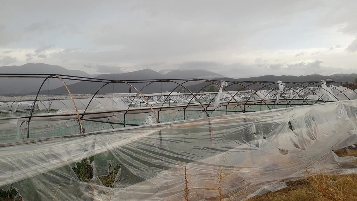 Şiddetli yağış ve fırtınanın zararı 100 milyon TL