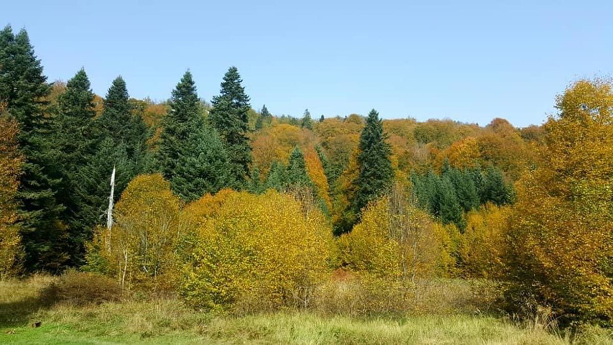 Küre Dağları Milli Parkı'nda sonbahar güzelliği