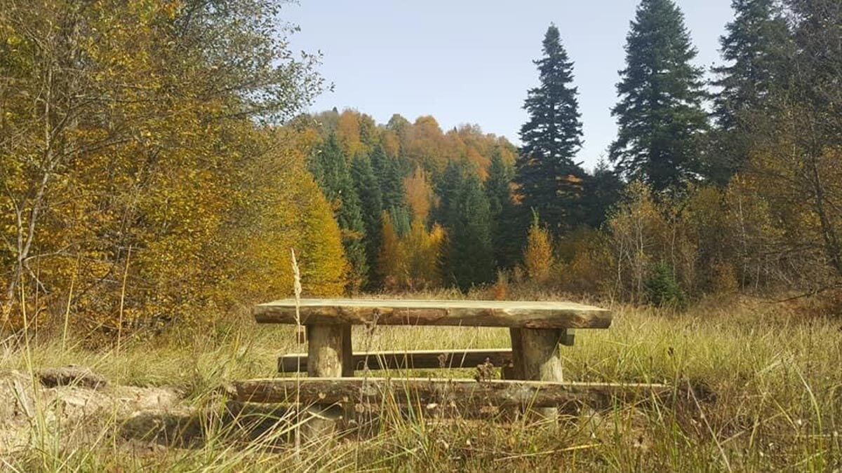 37 bin 753 hektar alana sahip milli park, mayıs ayında da 'European Wilderness Society' tarafından 'Platin Yabanıl' sertifikasına layık görüldü.