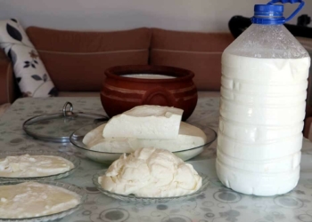 Manda sütü siparişlerine yetişemiyor