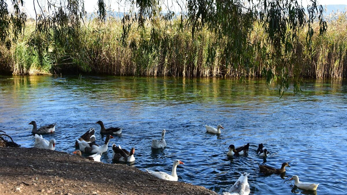 Vatandaşlar soluğu sahil kenarında aldı