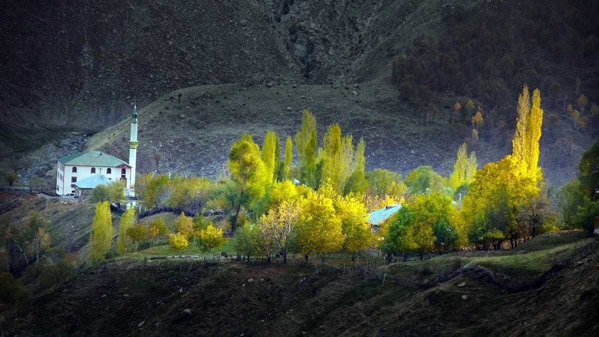 Muş'ta renk cümbüşü yaşanıyor