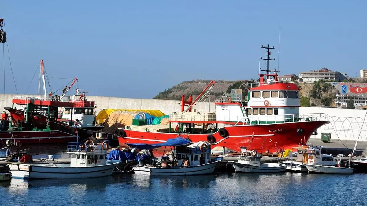 Karadeniz'de son günlerde palamut avında gözle görülür bir azalma yaşanırken, zonguldak'ta balıkçılar hamsi avına yöneldi.