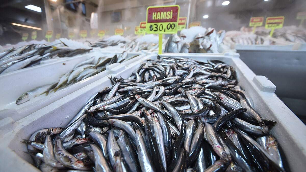 Bu dönemde en çok palamut hamsi yenir