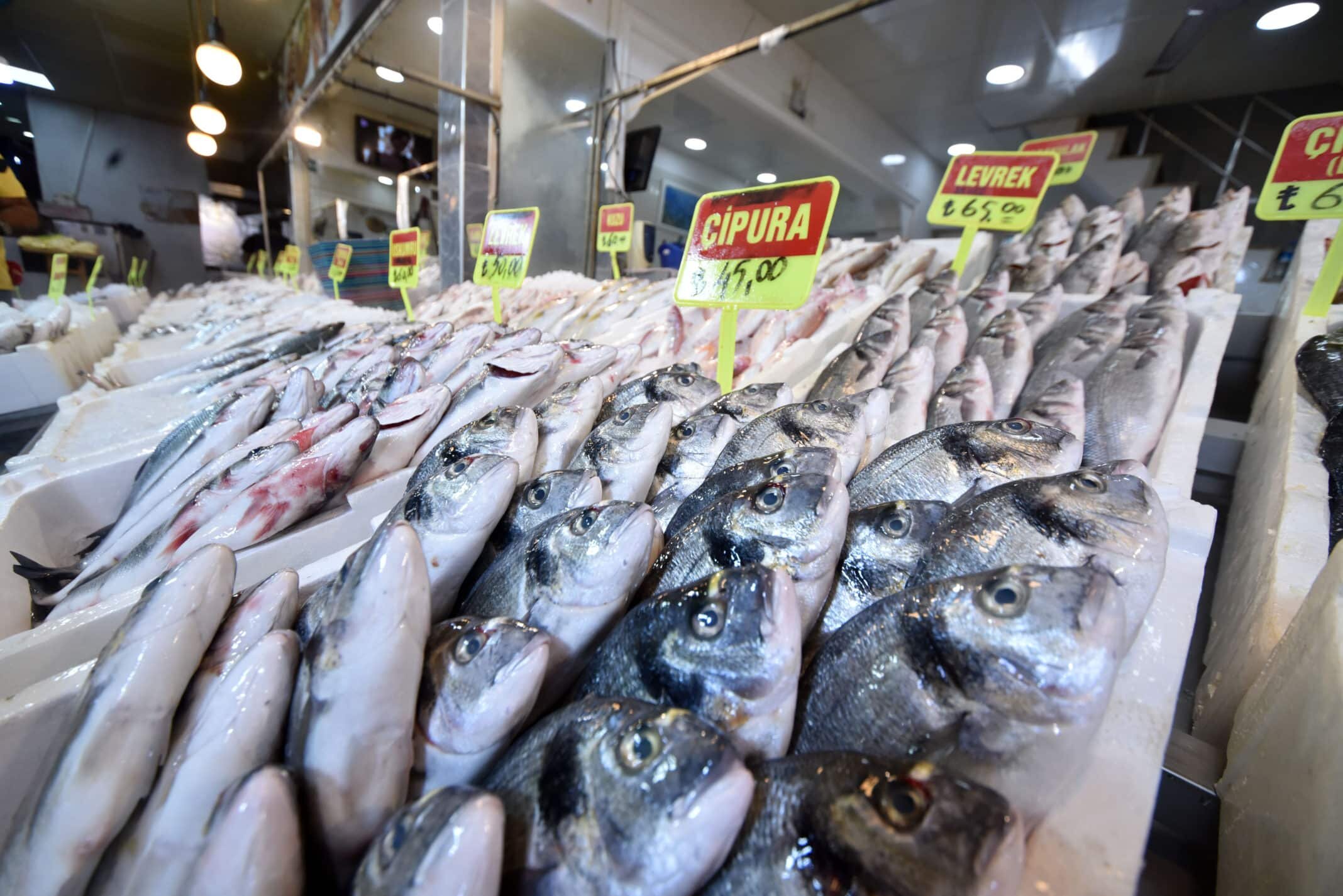 Bu dönemde en çok palamut hamsi yenir. Antalya civarındakiler barbun yiyebilir. Sardalya bu mevsimde yağlı olduğu için tercih edilebilir.
