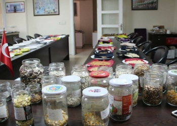 2 yıllık çalışmalarla, 100 farklı çeşitte ata tohumuna ulaşıldı. Toplanan tohumların bazıları, yönetim kurulu odasına serilen bezlerde kurutularak gelecek yıl için hazırlanırken, odaya ait Meci Tarım Parkı’nda kurulan serada toprakla buluşturulup, her gün özenle bakılan diğer tohumlar ise fide haline getirildi.