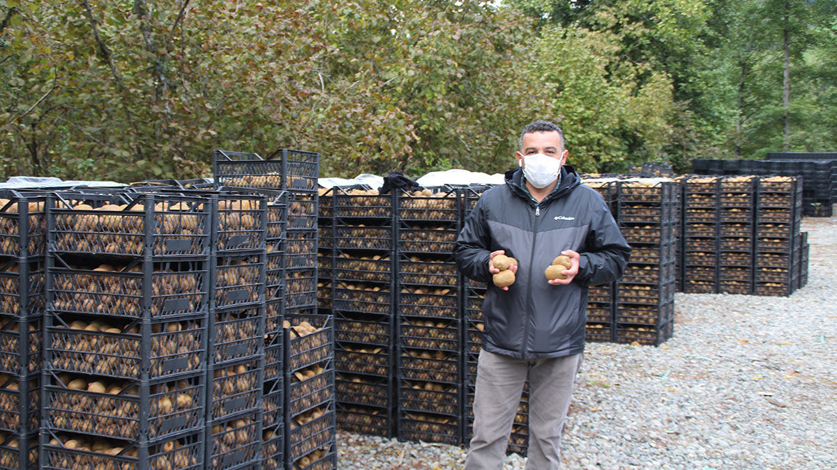 Uzmanlar, kış mevsiminde vücut bağışıklığını güçlendiren C vitamini yönünden zengin olan kivinin özellikle salgın sürecinde bolca tüketilmesini öneriyor.