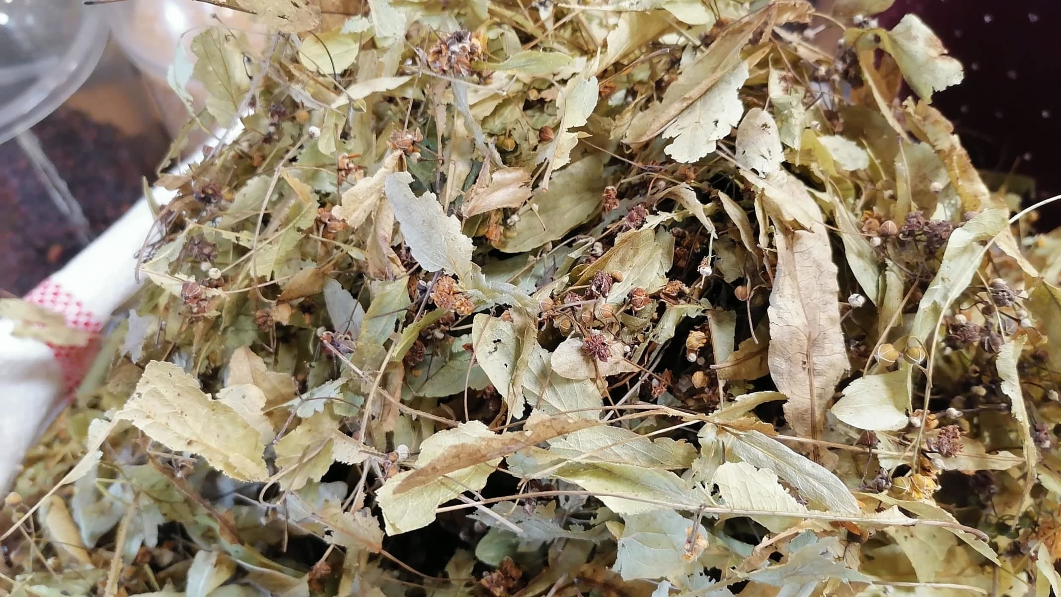 Nefes açıcı balgam sökücü bir etkisi var