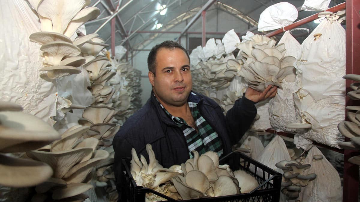 Siparişlere yetişmekte güçlük çekiyor