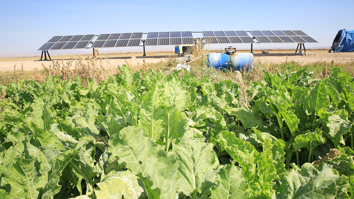 180 ton daha fazla ürün elde ettim