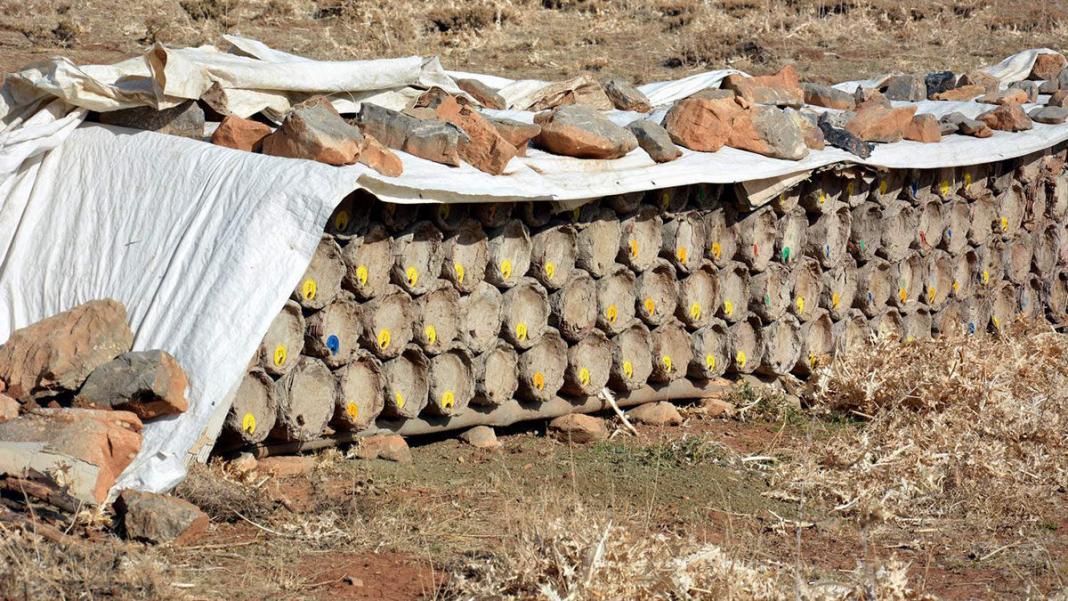 Herekol Dağı eteklerinde bal üretimi