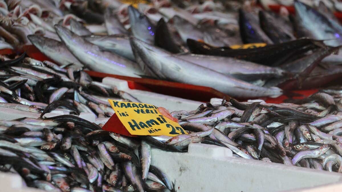 Tezgahlar hamsi ile dolmaya başladı