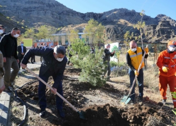 Tunceli'de, 'Milli Ağaçlandırma Günü' nedeniyle Alevi inancında önemli yere sahip olan Düzgün Baba Dağı'nda fidanlar toprakla buluştu.