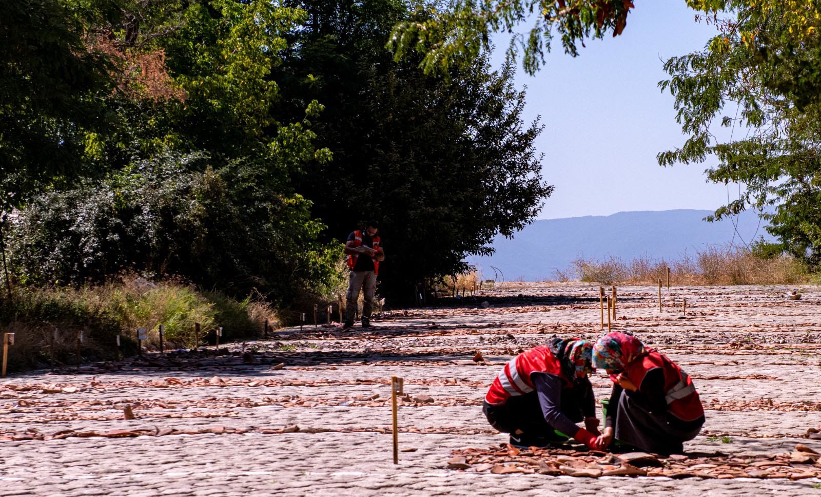 Dumlupınar Üniversitesi Öğretim Görevlisi ve kazının bilimsel danışmanı Nazan Ünan, Seyitömer Höyük kurtarma kazılarında farklı tabakaların tek tek kazılarak kayıt altına alındığını söyleyerek, "Tüm alanda tabaka olarak çalışılması açısından önemli. Çünkü Türkiye’nin günümüzde de en büyük kurtarma kazısı projesi olduğunu söyleyebiliriz.
