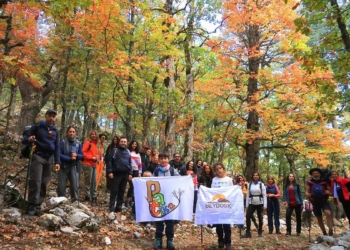 Geziler randevu ve teknik personel kontrolüyle yapılıyor