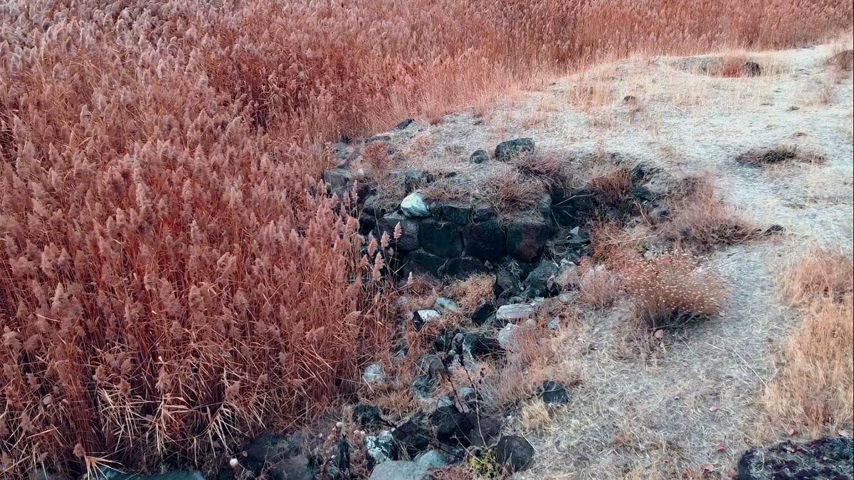 Van'ın Erciş ilçesinde Van Gölü'nün çekilmesiyle birlikte 2 bin 750 yıl önce kullanılmış Urartu dönemine ait liman kalıntıları ortaya çıktı.