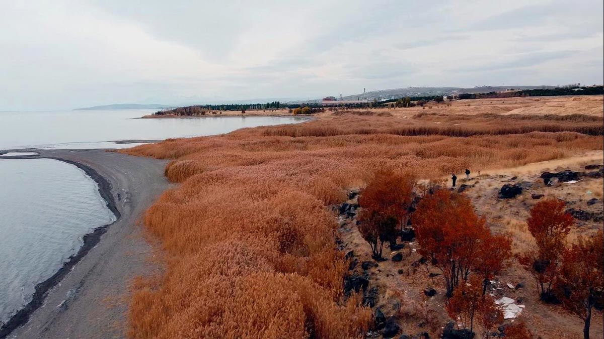 Urartu dönemine ait liman kalıntıları ortaya çıktı