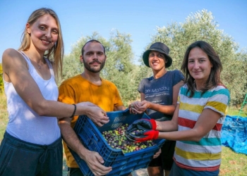 Avrupa Dayanışma Programı kapsamında Antalya'ya gelen 6 yabancı öğrenci, gönüllü projelerde çalışıyor.