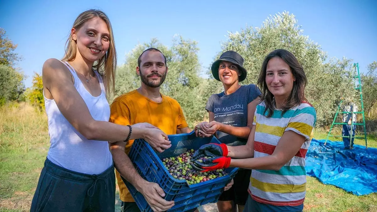 Avrupa dayanışma programı kapsamında antalya'ya gelen 6 yabancı öğrenci, gönüllü projelerde çalışıyor.