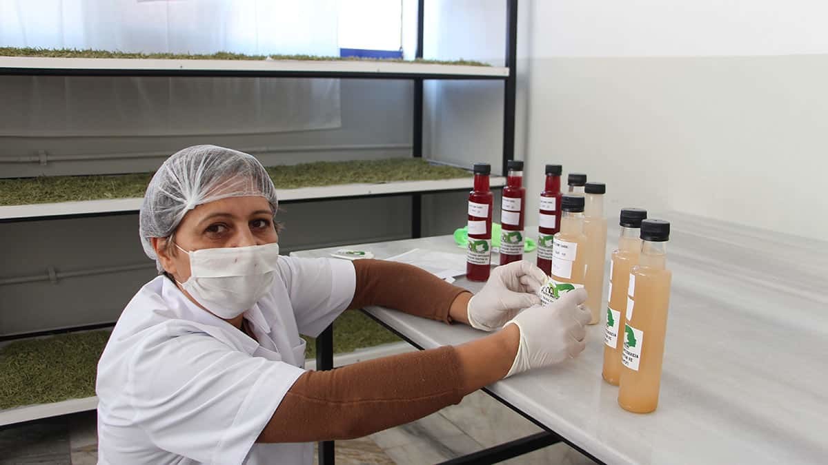 Pandemi döneminde de üretimi sürdüren kadınlar hem ev hem de ülke ekonomisine katkı sağlıyor.