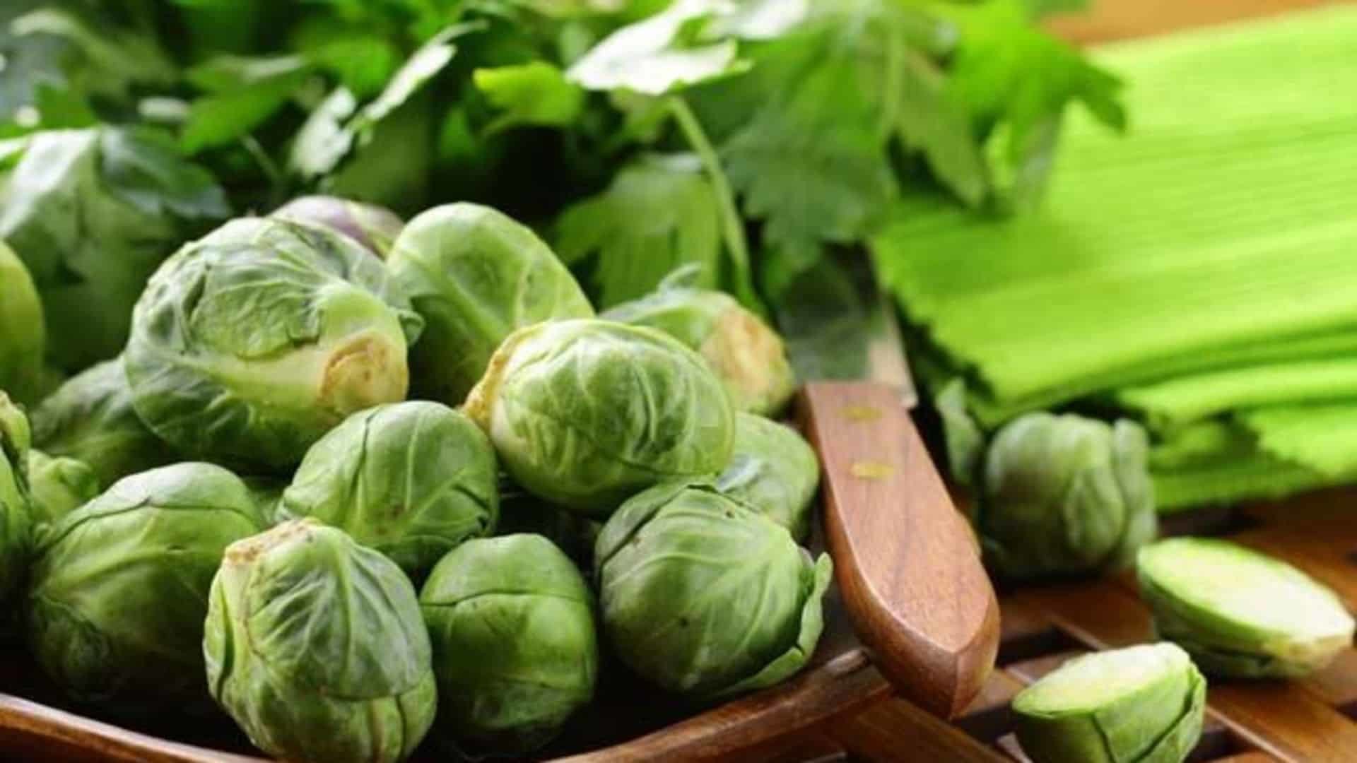 Yeşil yapraklı sebzeler gebe kalma sürecini etkiler