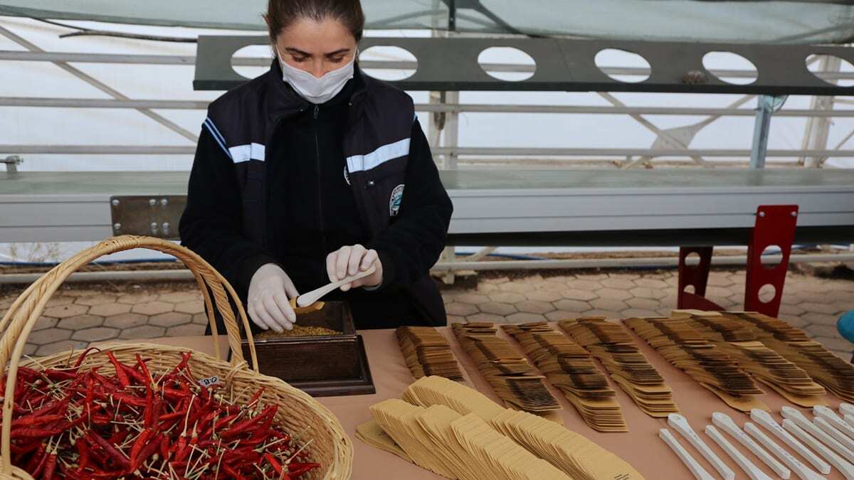 Büyükşehir yerli tohum konusuna önem veriyor