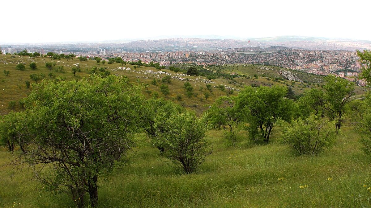 Bademlidere Şehir Parkı projesi Mayıs ayında başlıyor
