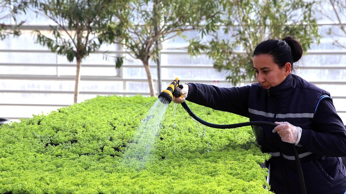 Eskişehir'in çöplerinden elektrik enerjisi üretiliyor