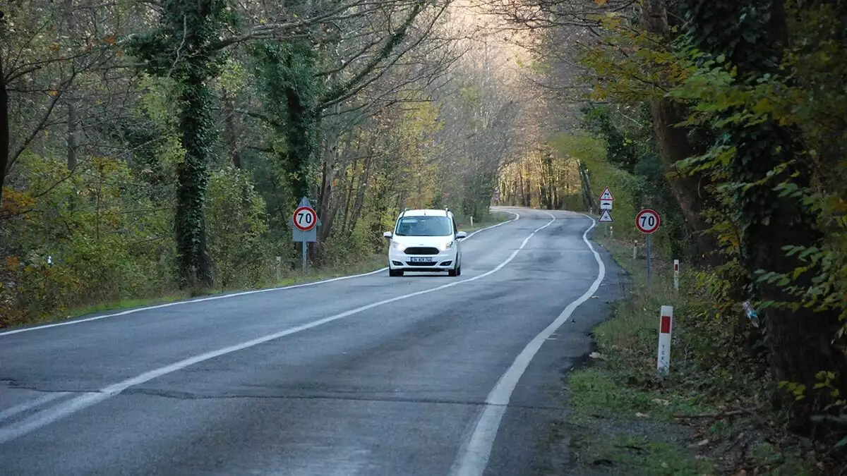 Bartın ile karabük arasındaki yolun 9 kilometrelik bölümünde bulunan ağaç dallarından oluşan tünel görsel şölen oluşturuyor.