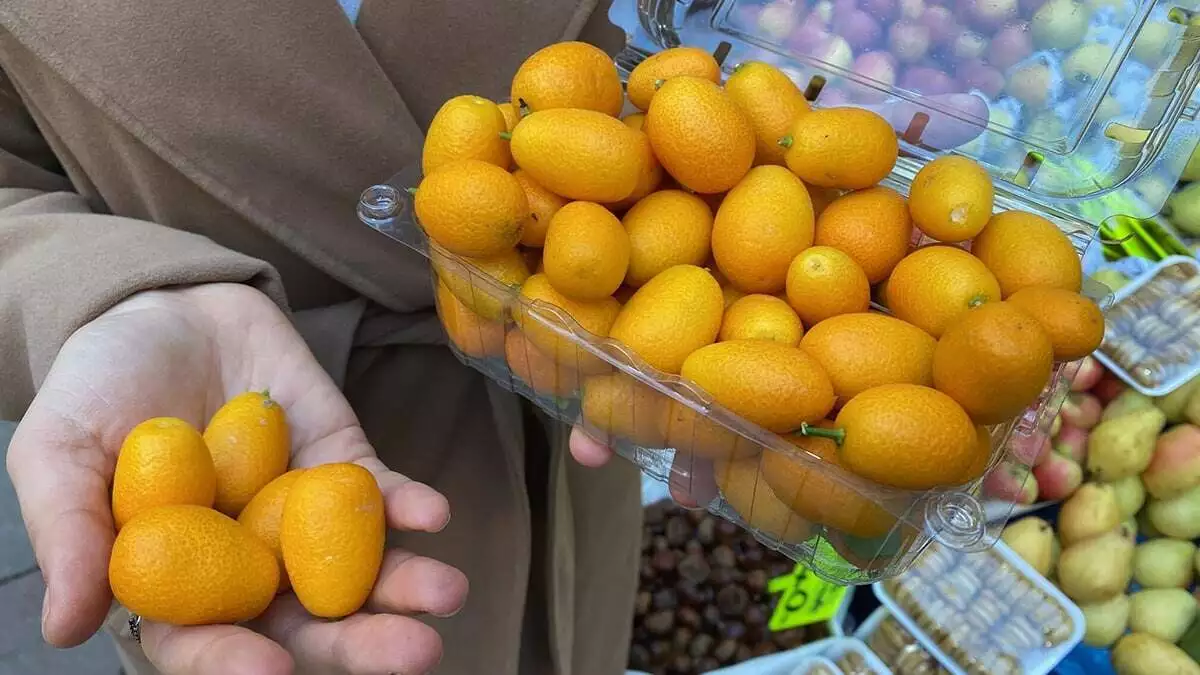 Bol miktarda c vitamini içeren 'altın portakal' kamkat, son dönemde en çok tercih edilen meyvelerin başında geliyor.