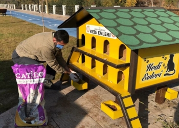 Sokak hayvanlarına mama bırakıldı