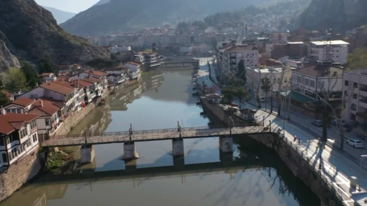 Sokak hayvanlarına mama bırakıldı