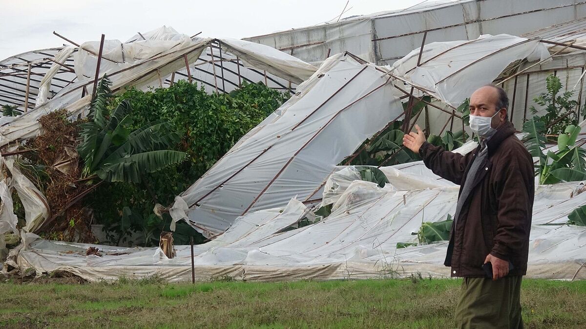 Hortum muz seralarına zarar verdi