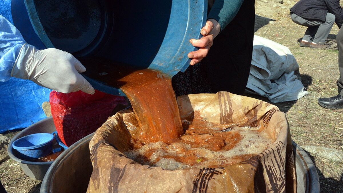 Sonbaharla birlikte andız pekmezi üretimi başladı