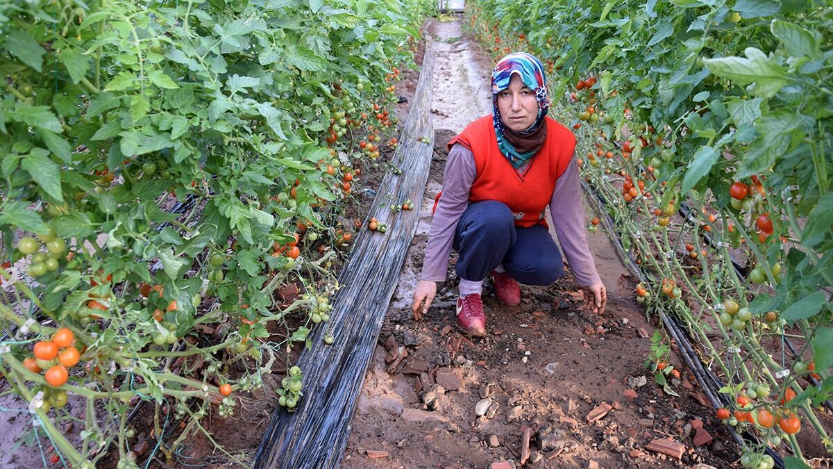 Antalya'da sağanağın zararı büyük