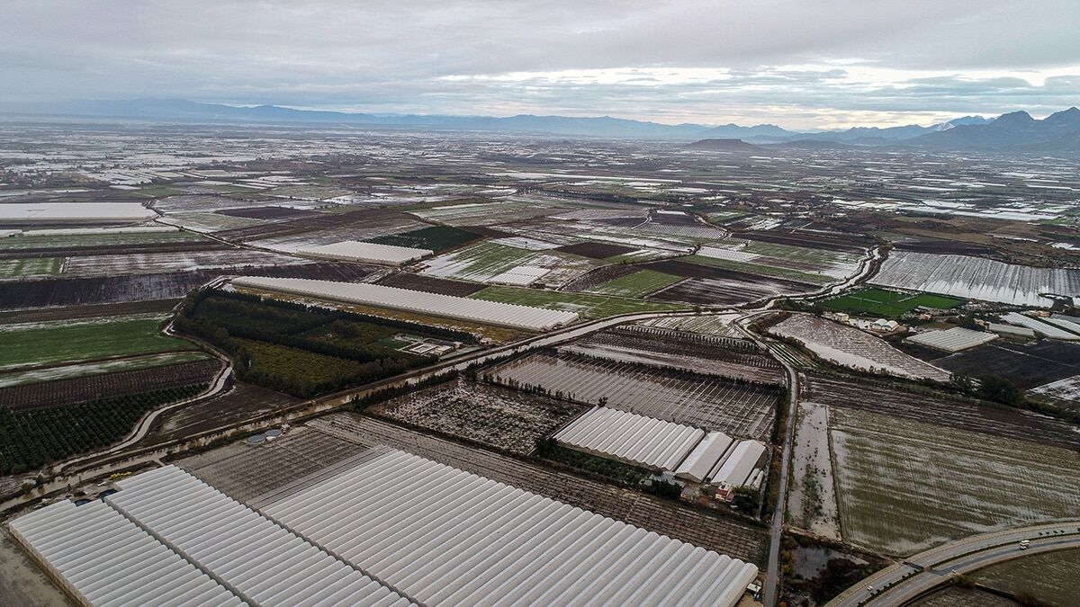 Sel gelince çilekler çamura bulandı