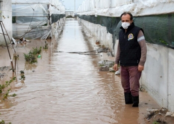15 bin dönüm tarım arazisi zarar gördü