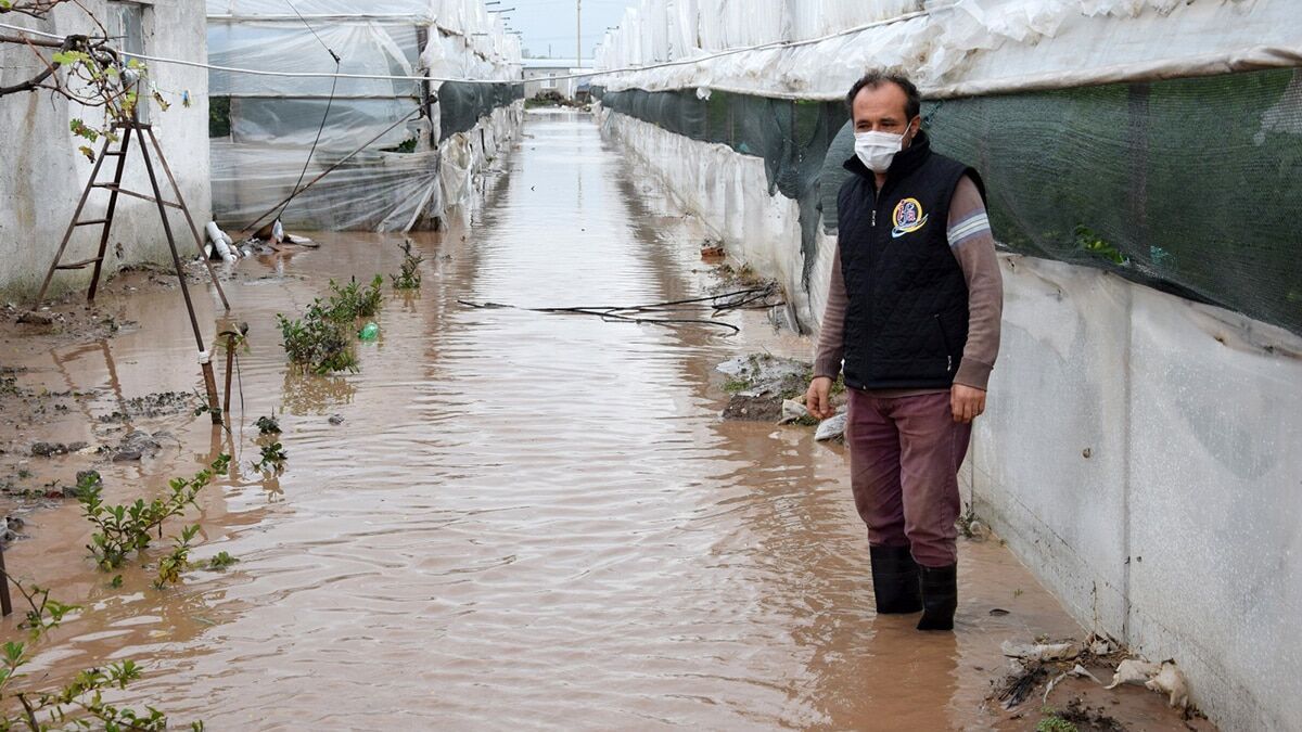15 bin dönüm tarım arazisi zarar gördü