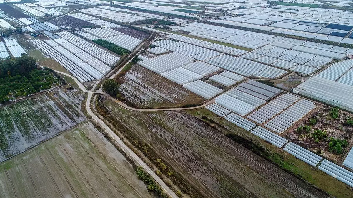 Antalya’da şiddetli yağmurun neden olduğu selde, 787 çiftçinin yaklaşık 15 bin dönüm tarım arazisi zarar gördü.