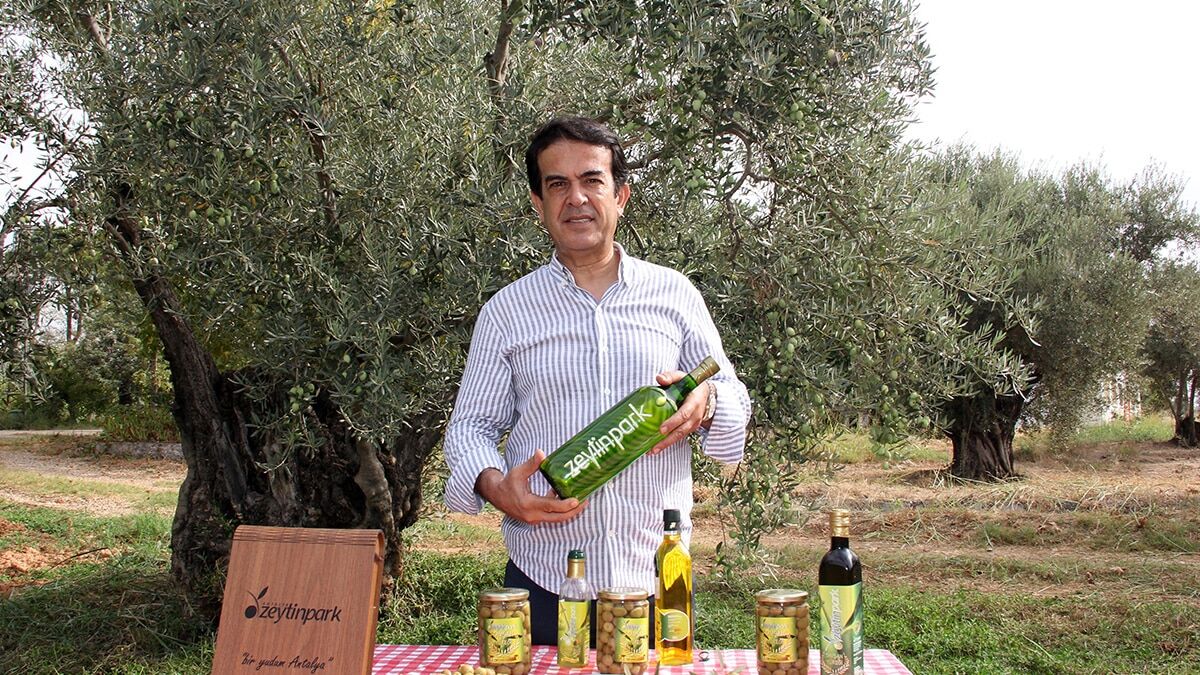 Antalya'nın binlerce yıllık kadim zenginliği; zeytin