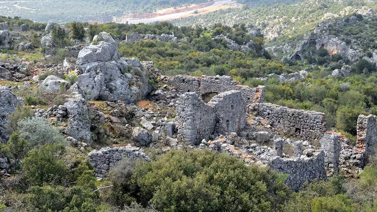 Antalya'nın binlerce yıllık kadim zenginliği; zeytin günümüzde 183 bin 452 dekar alanda varlığını sürdürüyor.