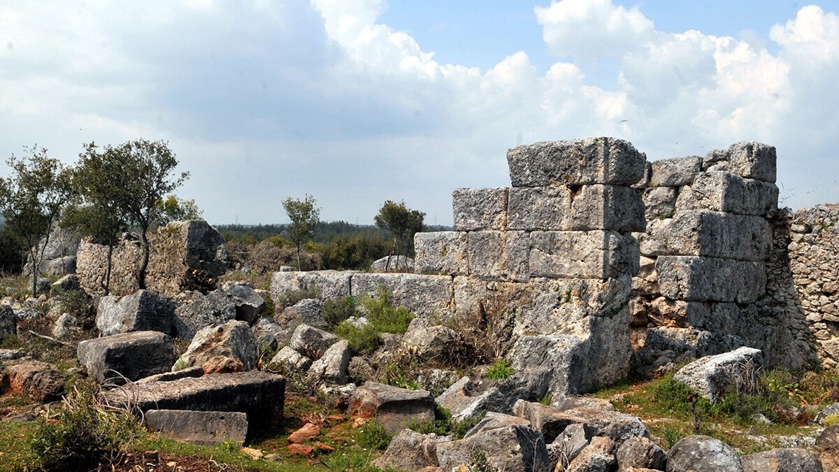 Selvi, sedir ve zeytin ağacının Antalya’nın kadim zenginlikleri olduğunu ifade eden Prof. Dr. Çevik, “Zeytin ilaçtır, yemektir, sağlıktır, şandır, barıştır ve bir kültürdür" dedi.