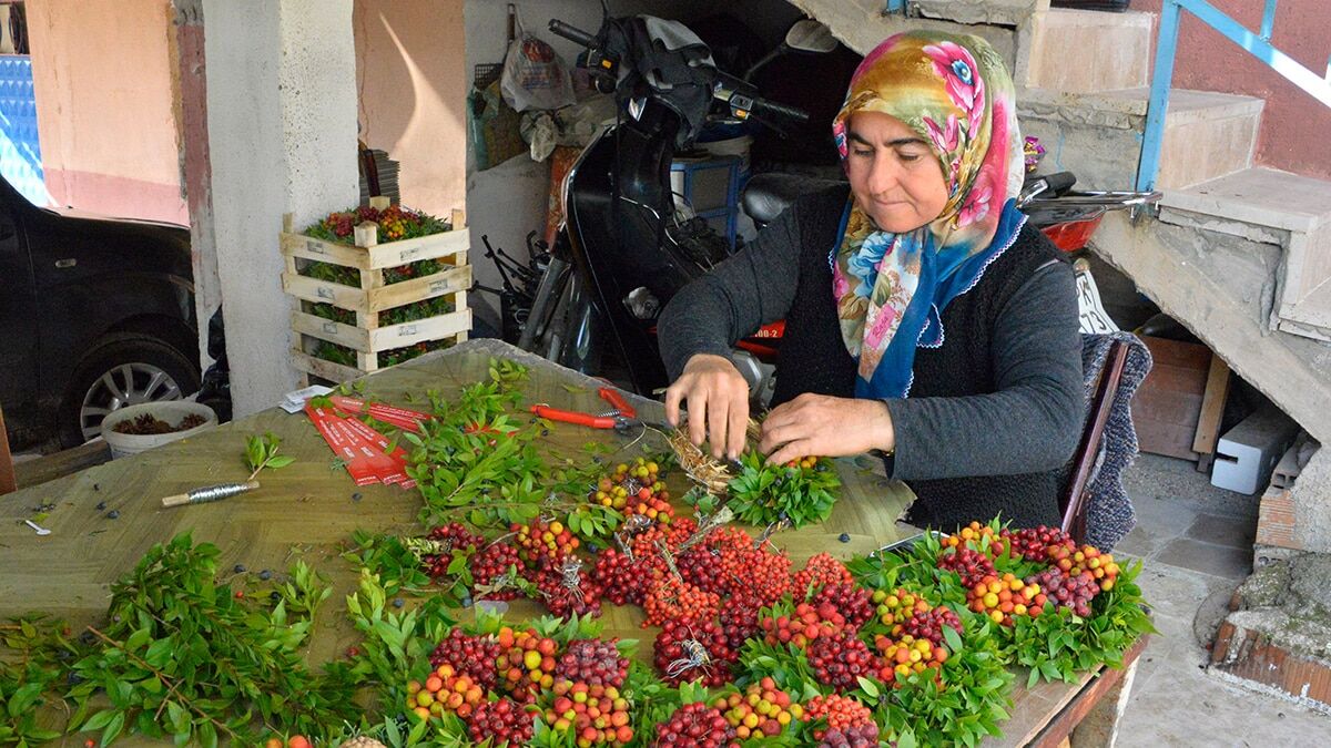 Antalya'da 1990'lı yılların ortalarında ilk olarak bir Alman kadın tarafından üretimi ve ihracatı yapılan 1.2 milyon Noel çelengi Avrupa'ya ihraç edildi.