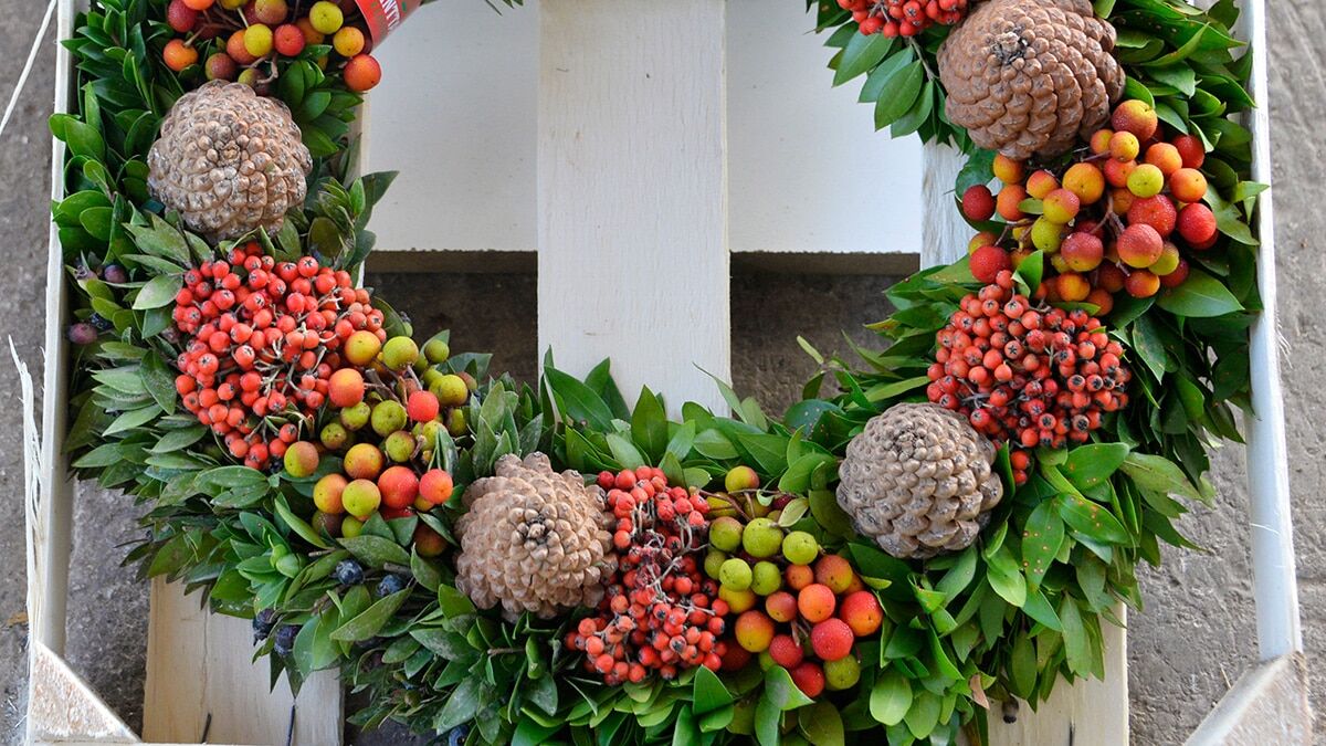 Çelenk başına yaklaşık 2.20 Euro'dan, toplamda 25 milyon TL'ye yakın gelir sağlandı.