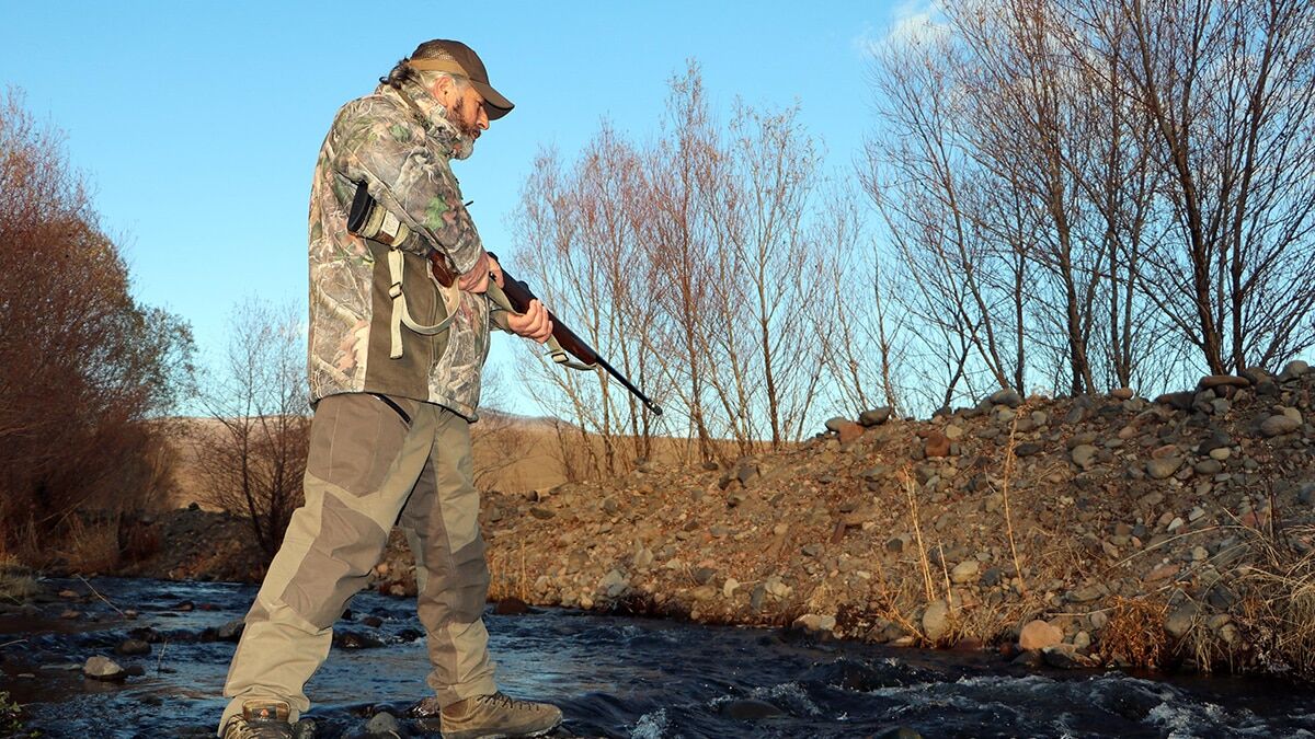 Ayıları yerleşim alanlarına alıştırmayın